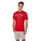 Nike Local Legend Boston Red Sox Shirt