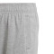 adidas Essentials Big Logo Niño Shorts