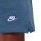 Nike Club French Terry Flow Shorts