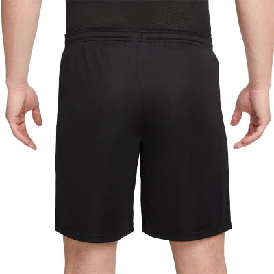 Dri-Fit Academy 23 Shorts