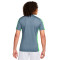 Nike Dri-Fit Academy 23 Shirt