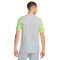 Nike Dri-Fit Strike T-Shirt