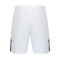 Castore Newcastle United FC Segunda Equipación 2023-2024 Shorts