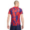 Nike Atlético de Madrid Pre-Match 2023-2024 T-Shirt