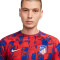 Nike Atlético de Madrid Pre-Match 2023-2024 T-Shirt