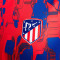 Nike Atlético de Madrid Pre-Match 2023-2024 T-Shirt