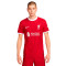 Nike Liverpool FC Home Trui Authentic 2023-2024 T-Shirt