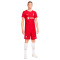 Nike Liverpool FC Home Trui Authentic 2023-2024 T-Shirt
