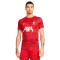 Nike Liverpool FC Pre-Match 2023-2024 T-Shirt