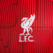 Nike Liverpool FC Pre-Match 2023-2024 T-Shirt