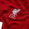 Nike Liverpool FC Pre-Match 2023-2024 Niño Shirt