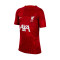 Nike Liverpool FC Pre-Match 2023-2024 Niño Shirt