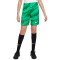 Nike Paris Saint-Germain FC Primera Equipación Portero 2023-2024 Niño Shorts