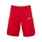 Nike Team Basketball Niño Shorts