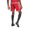 adidas Tiro 23 Competition Match Shorts