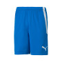 Team LIGA-Electric Blue Limonade-Wit