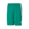 Puma teamLIGA Shorts