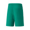 Puma teamLIGA Shorts