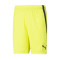 Puma Team LIGA Shorts