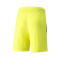 Puma Team LIGA Shorts