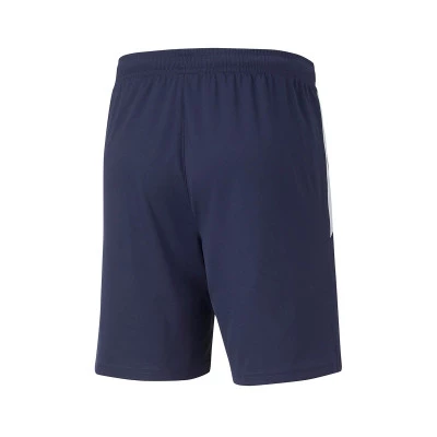 teamLIGA Training Shorts