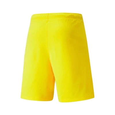 teamRISE Shorts