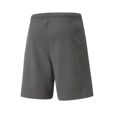 teamRISE Shorts
