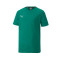 Puma teamGOAL Niño T-Shirt