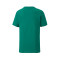 Puma teamGOAL Niño T-Shirt