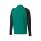 Puma teamLIGA Niño Sweatshirt