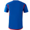 adidas Olympique Lyon Away Trui 2023-2024 T-Shirt