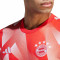 adidas FC Bayern Pre-Match 2023-2024 Shirt