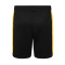 Castore Wolverhampton Wanderers Primera Equipación 2023-2024 Shorts