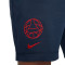 Nike Paris Saint-Germain FC Fanswear 2023-2024 Shorts