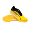 Puma Ibero IV Zaalvoetbalschoenen