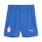 Puma Kinderen AC Milan 2023-2024 Derde Shorts