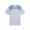 Puma Manchester City Fanswear 2023-2024 T-Shirt