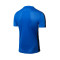 Nike RCD Mallorca Training Jugador 2023-2024 Niño Shirt
