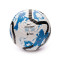 Nike Colección Premier League 2023-2024 Bal