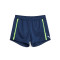 Puma IndividualBLAZE Shorts