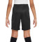 Nike Dri-Fit Academy 23 Niño Shorts