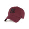 47 Brand New York Yankess Clean Up Pet
