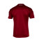 Joma Torino Erstee Trui 2023-2024 T-Shirt