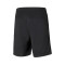 Puma teamRISE Training CE Roda de Ter Bermuda shorts
