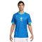 Nike Brasil Segunda Equipación Copa América 2024 Shirt