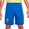 Nike Brazilië Amerika Cup 2024 Thuis Shorts