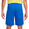 Nike Brazilië Amerika Cup 2024 Thuis Shorts