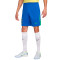 Nike Brazilië Amerika Cup 2024 Thuis Shorts