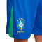 Nike Brazilië Amerika Cup 2024 Thuis Shorts