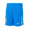 Nike Brazilië Amerika Cup 2024 Thuis Shorts